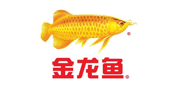 永坤減速機(jī)廠家客戶見證之金龍魚食用油全自動(dòng)生產(chǎn)線